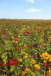 《仙剑奇侠传七》上架Xbox商店 11月2日发售